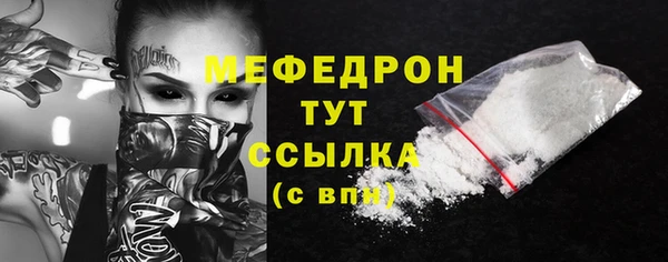 индика Осташков