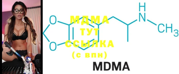 индика Осташков