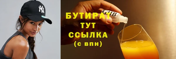 индика Осташков
