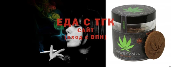 индика Осташков