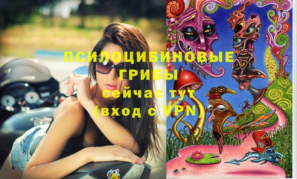 скорость Гусев