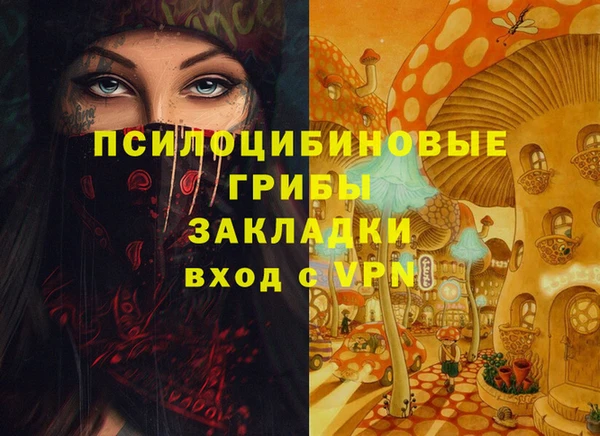 ешки Дмитров