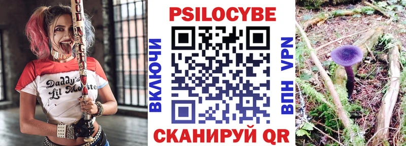 Купить  Красноуфимск  Галлюциногенные грибы Psilocybe 